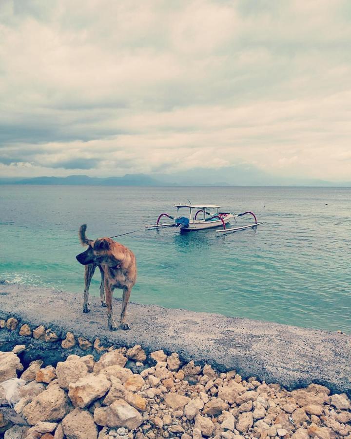 Vns Beachfront Guesthouse Toyapakeh ภายนอก รูปภาพ