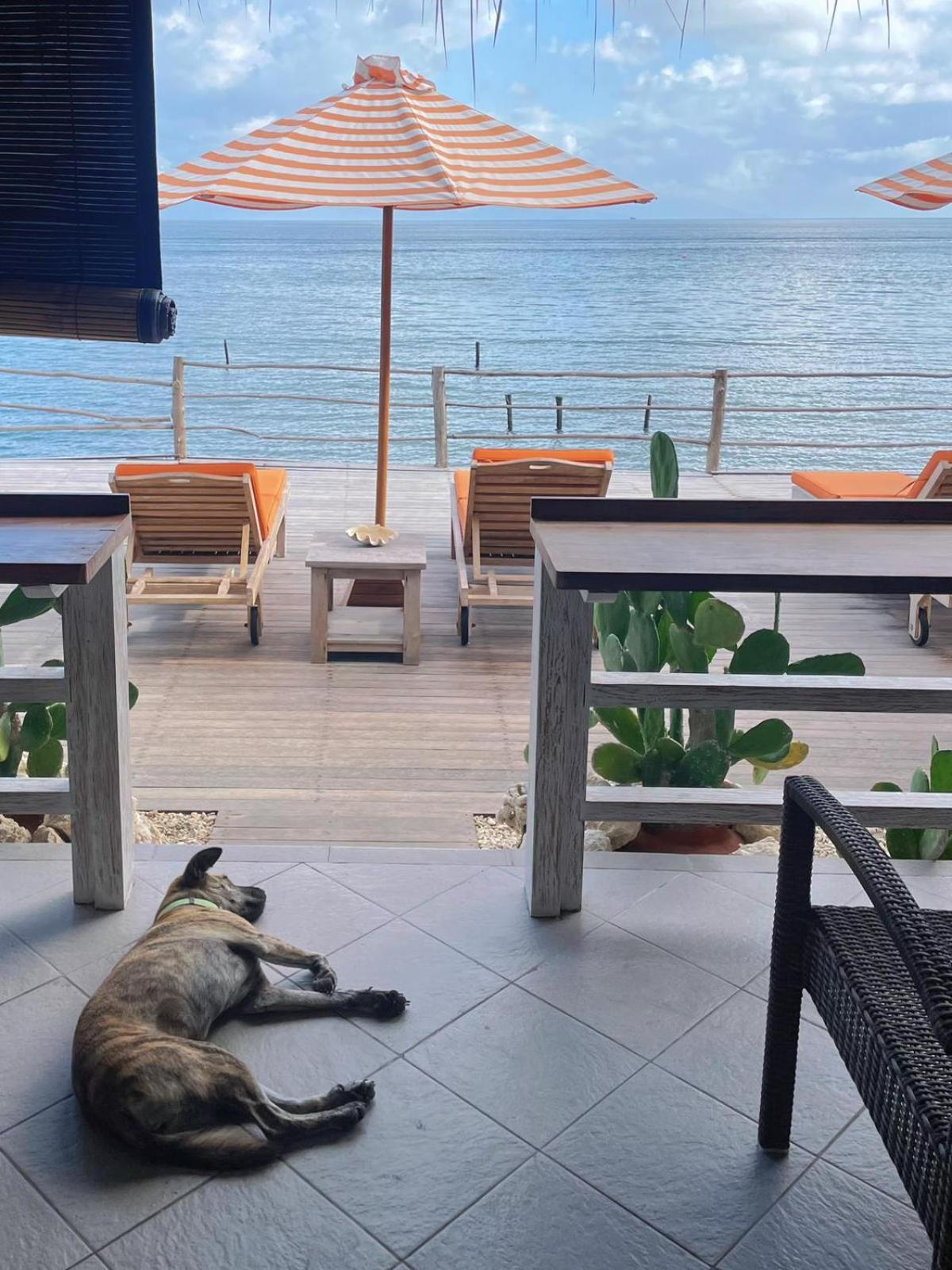 Vns Beachfront Guesthouse Toyapakeh ภายนอก รูปภาพ